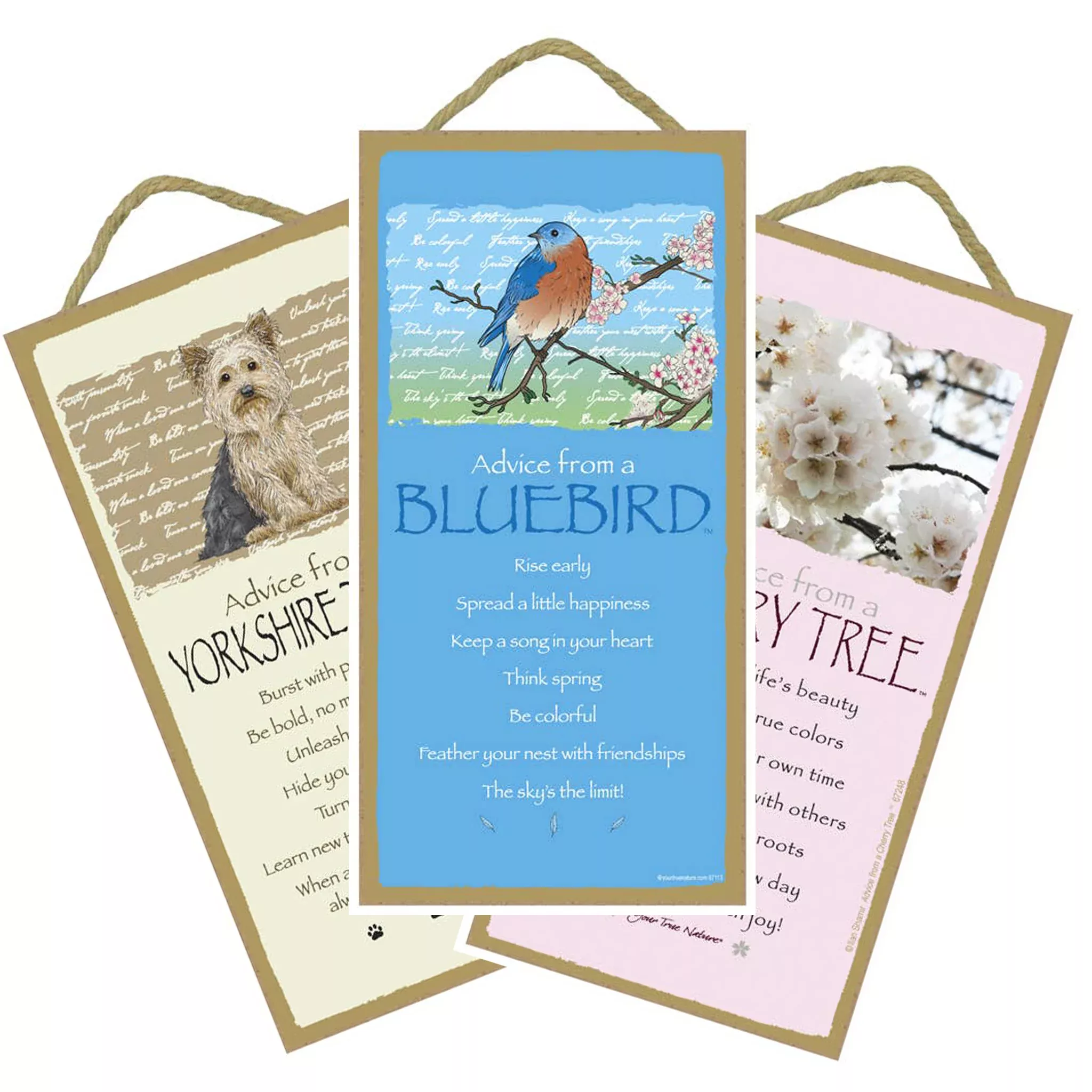 Advice From... Wood Sign Assorted Designs