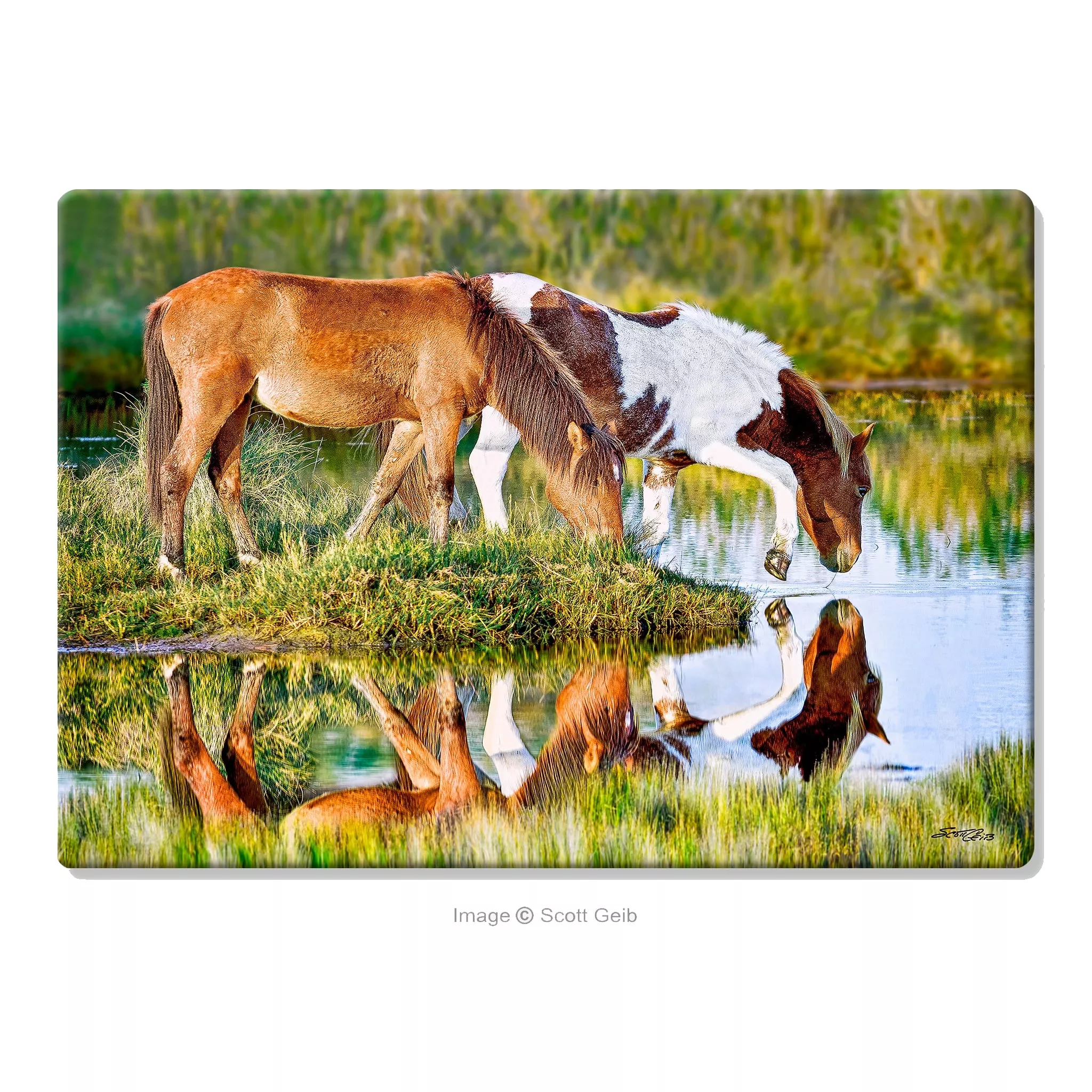 Assateague Ponies Glass Cutting Board