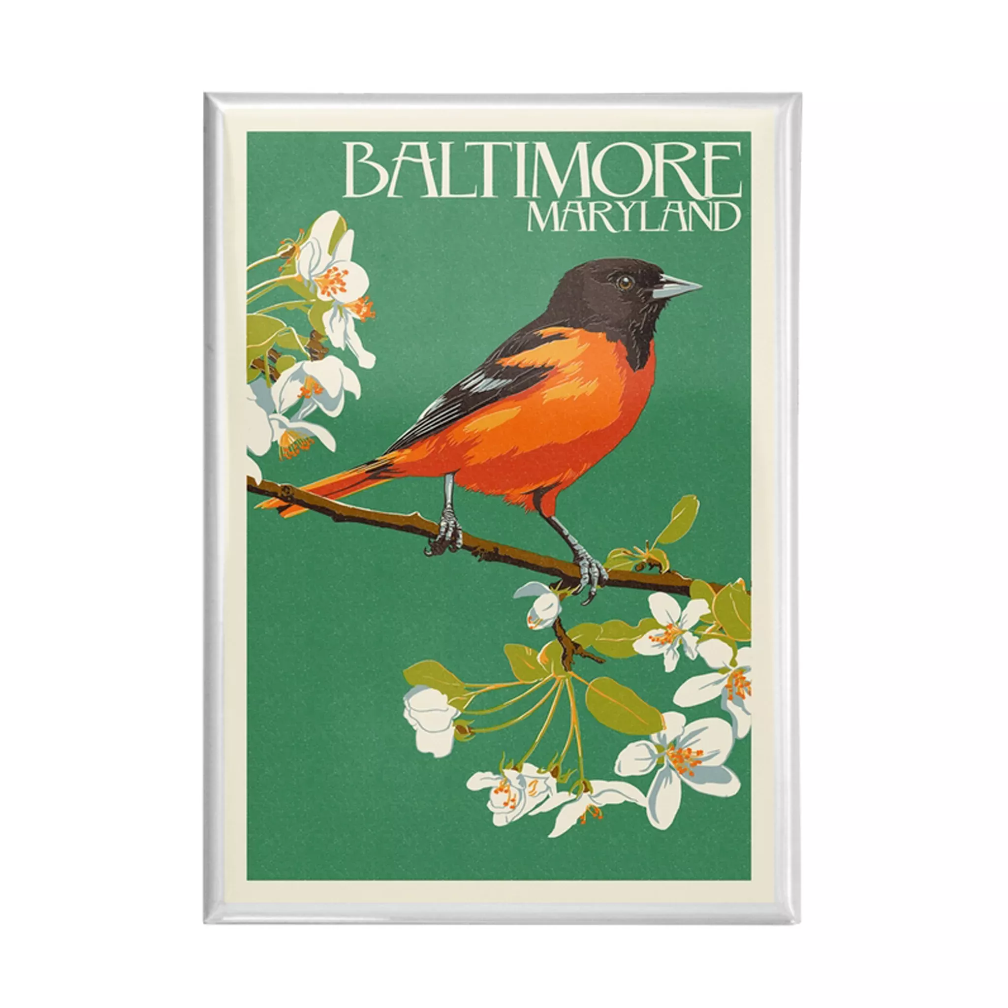 Baltimore Maryland Oriole Rectangular Magnet