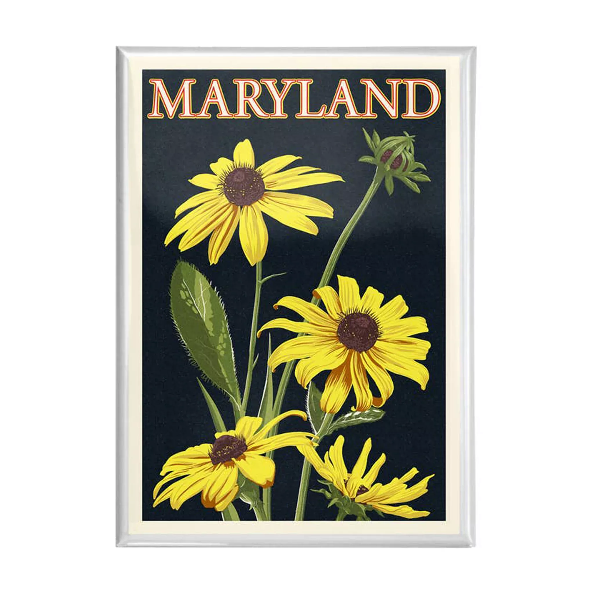 Black Eyed Susans Maryland Magnet