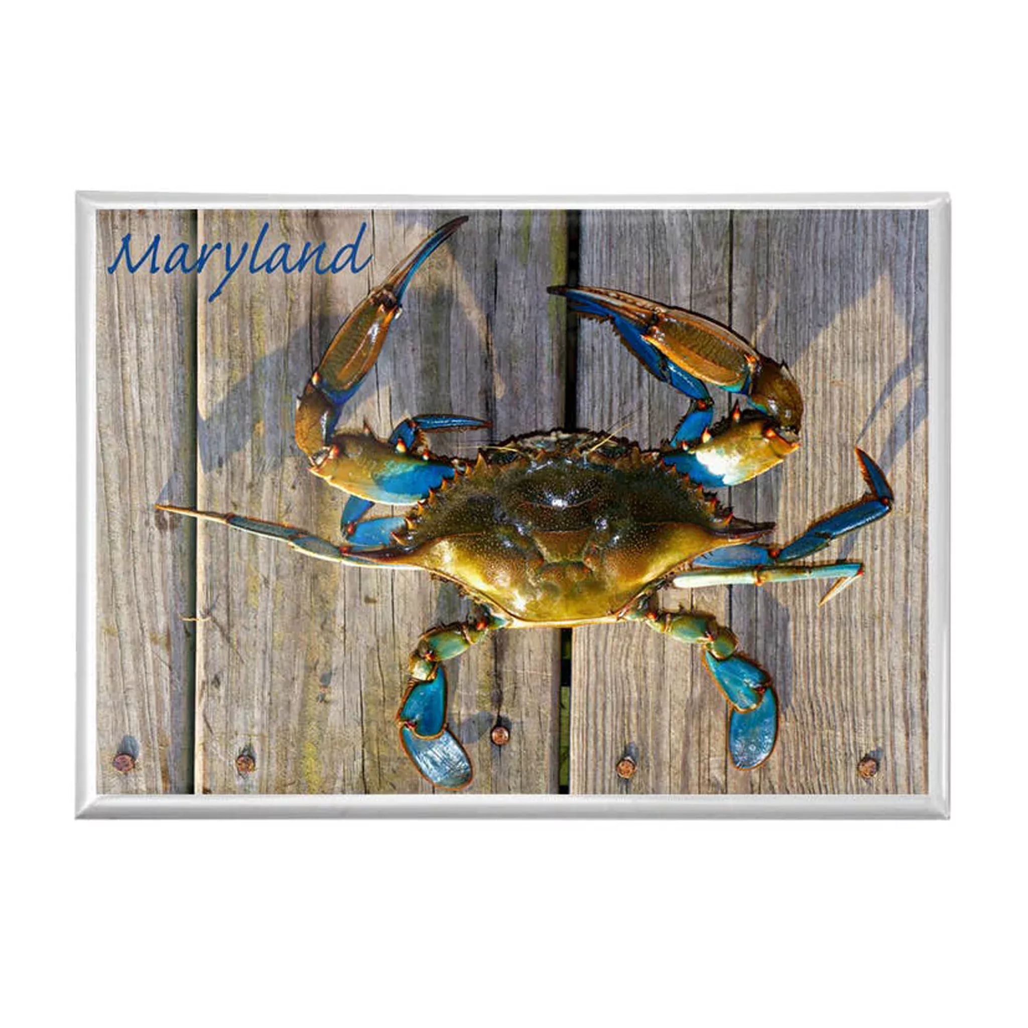 Blue Crab on Dock Magnet