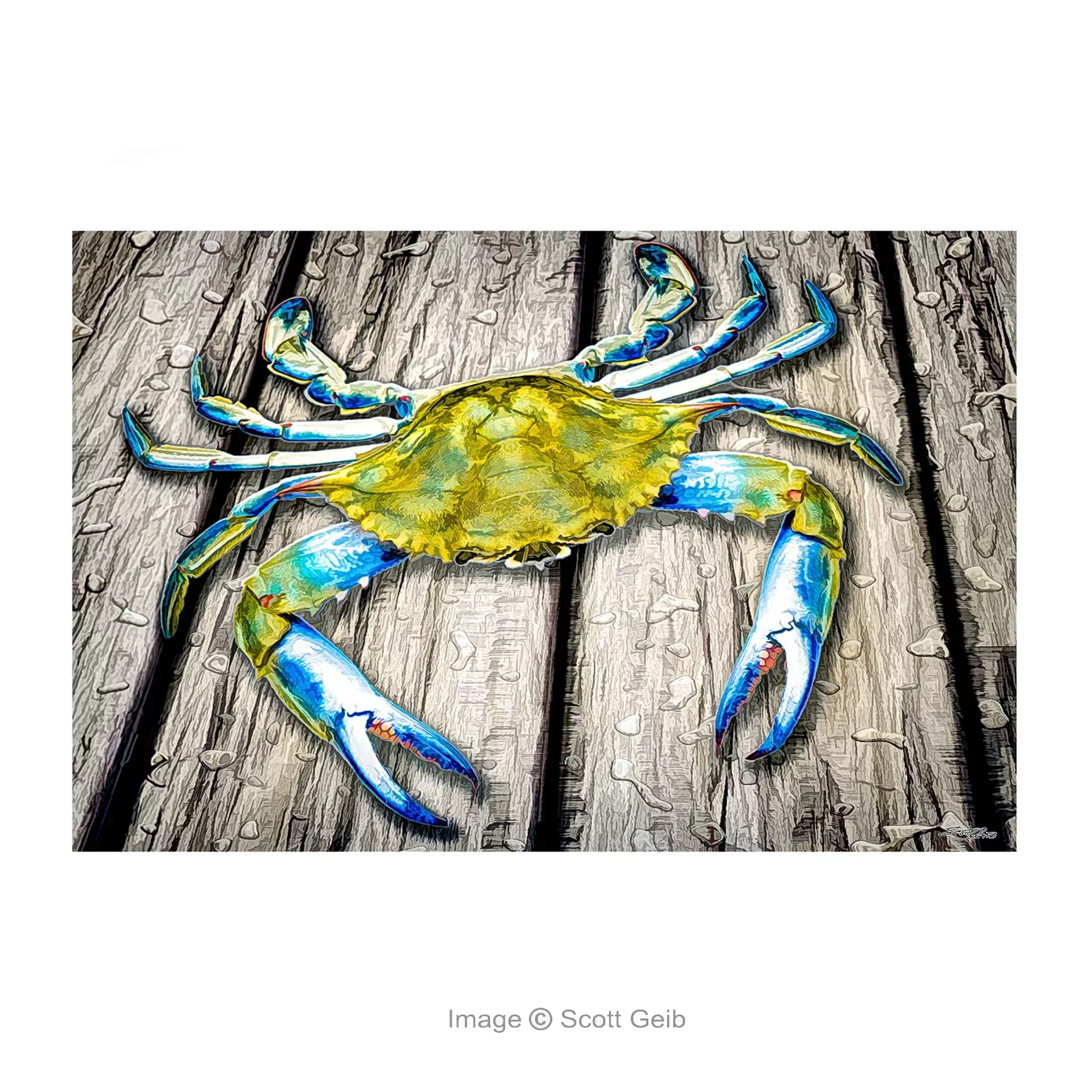 Blue Crab on Dock Note Card
