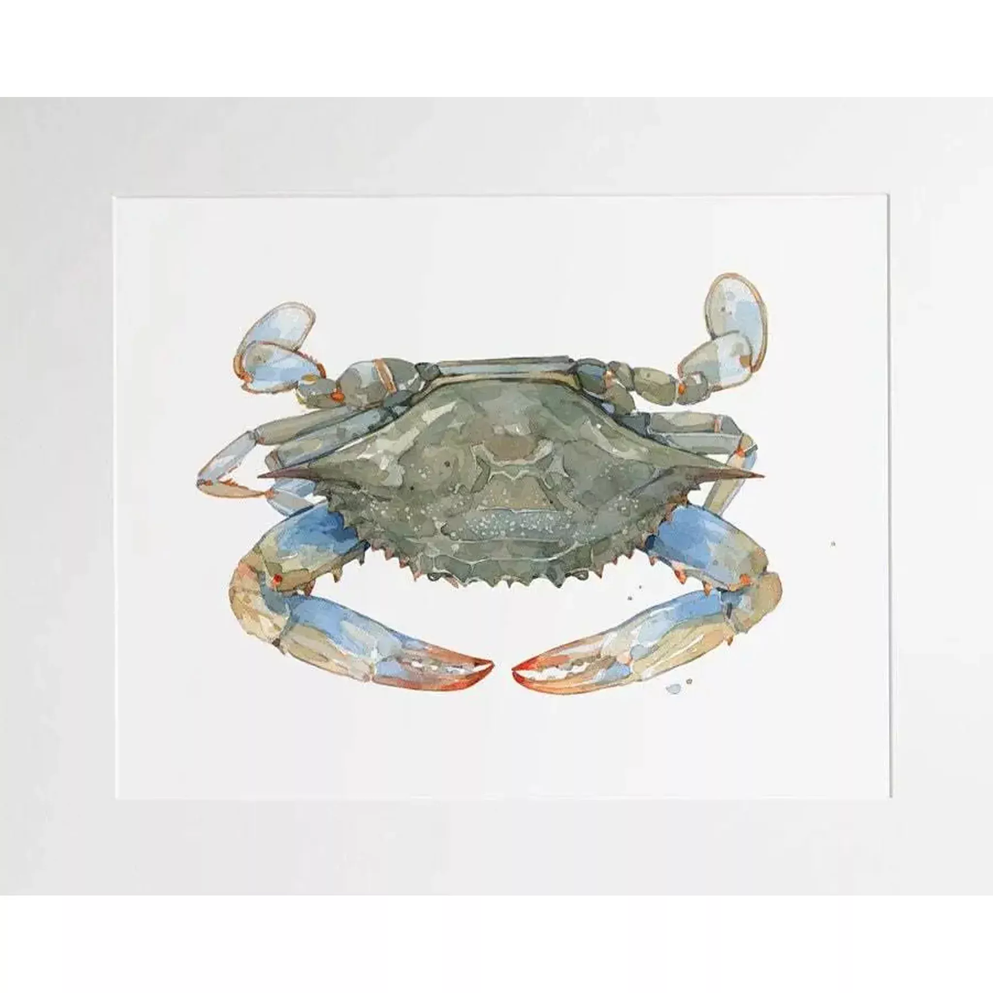 Blue Crab Watercolor Art Print - Matted