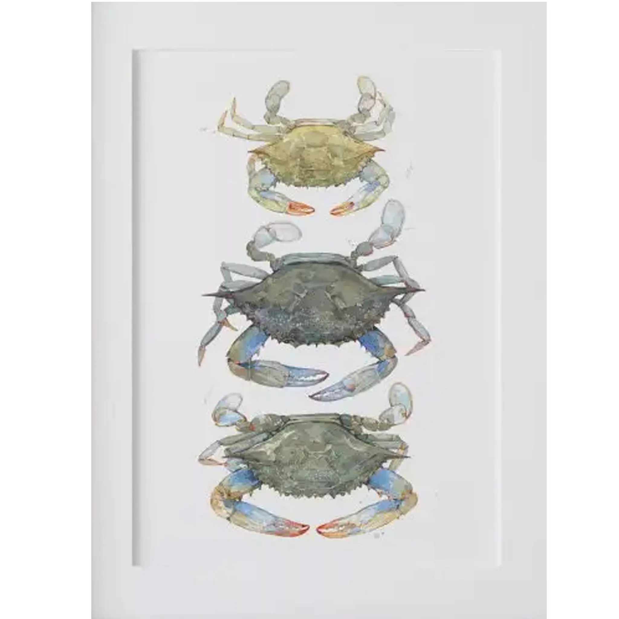 Blue Crabs Tier Watercolor Art Print - Matted