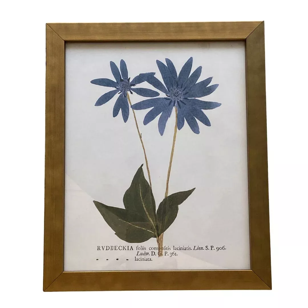 Blue Flower Art On Distressed Background Vintage Print