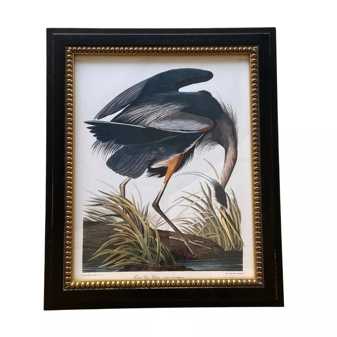 Blue Heron Bookplate Print