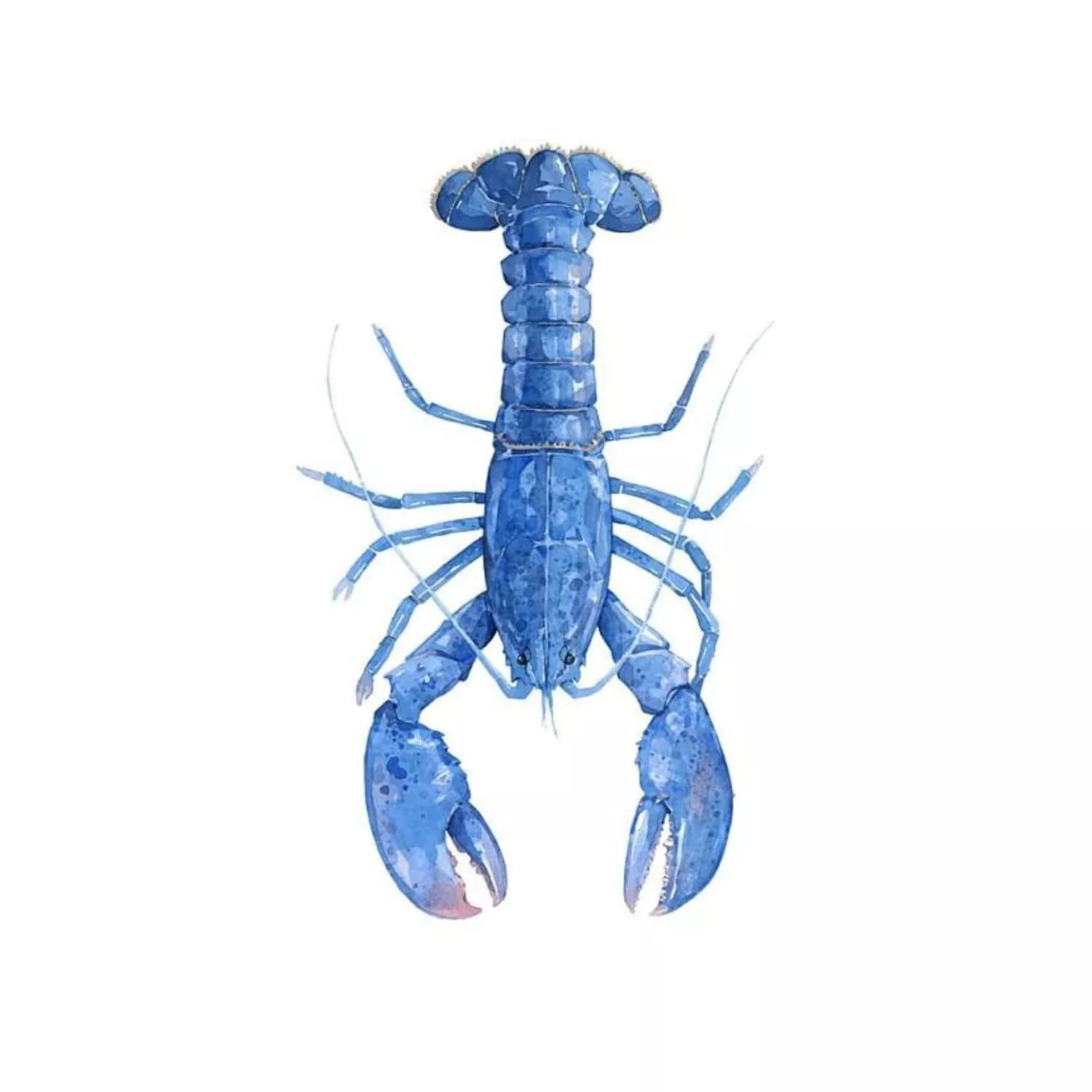Blue Lobster Watercolor Print, Nautical New England Wall Art, 8 x 10