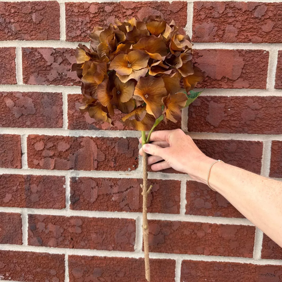 Brown Hydrangea Stem 18"