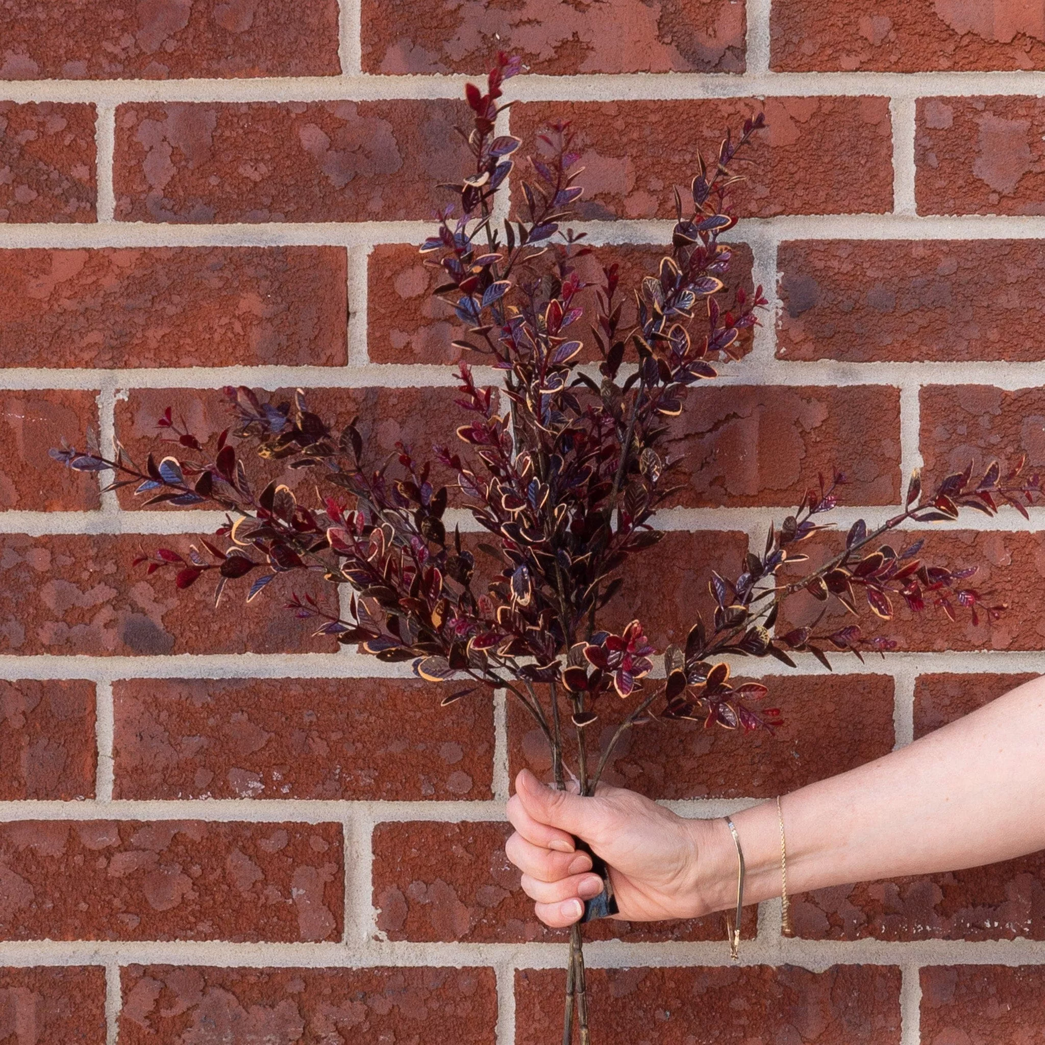 Burgundy Boxwood Stem 27"