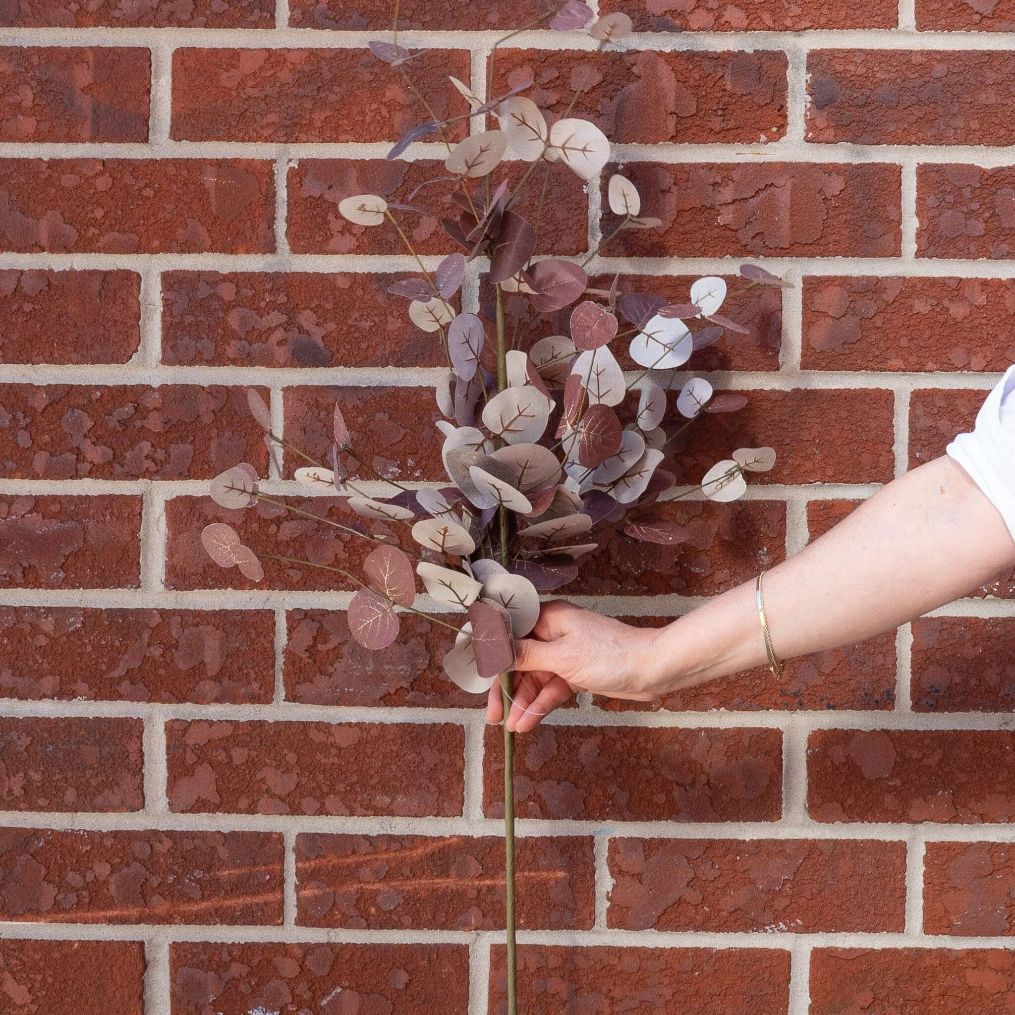 Burgundy Eucalyptus Stem 36"