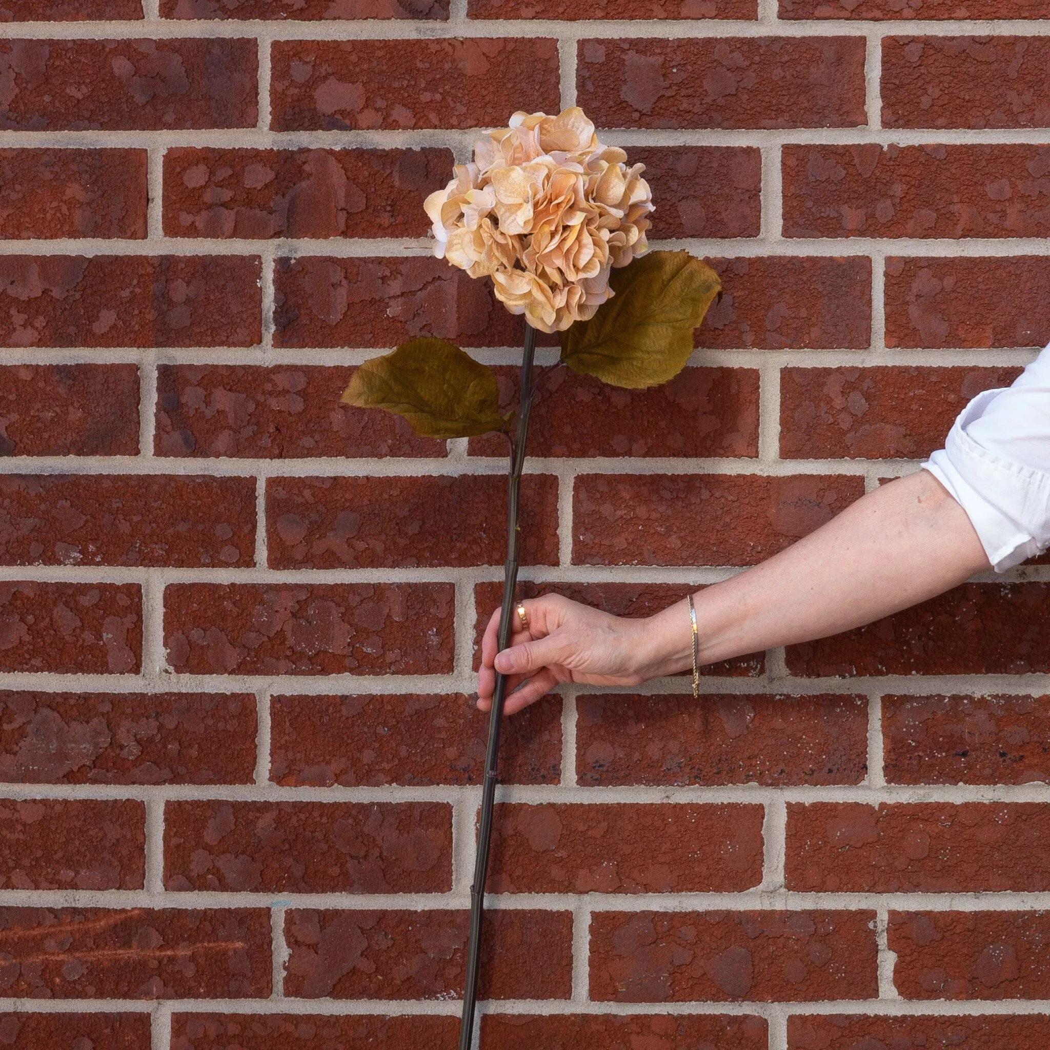 Burnt Cream Hydrangea 30"