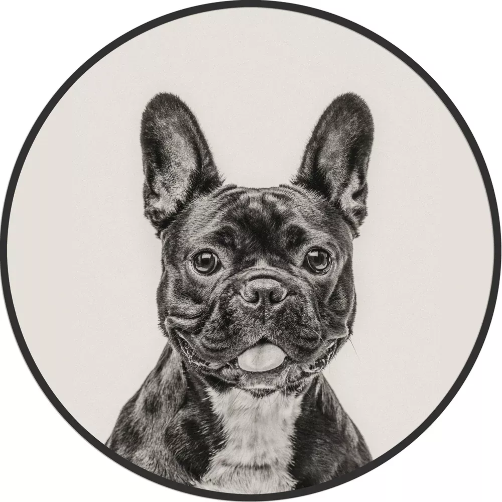 Circular (Round) Wall Art/ Wall Decor - French Bulldog