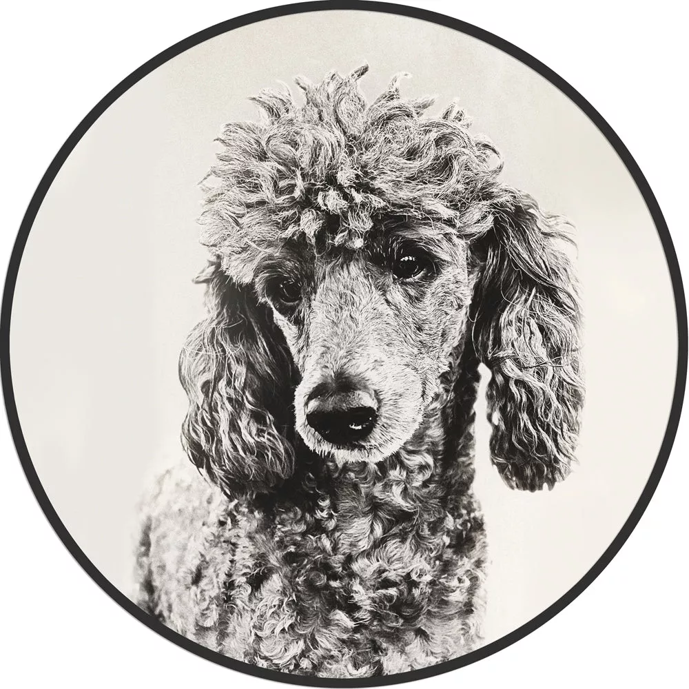 Circular (Round) Wall Art/ Wall Decor - Poodle