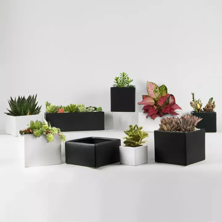 Contemporary Collection