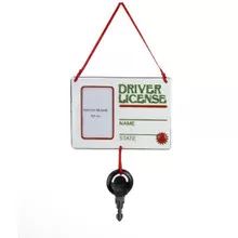 Driver License Personalized Ornament
