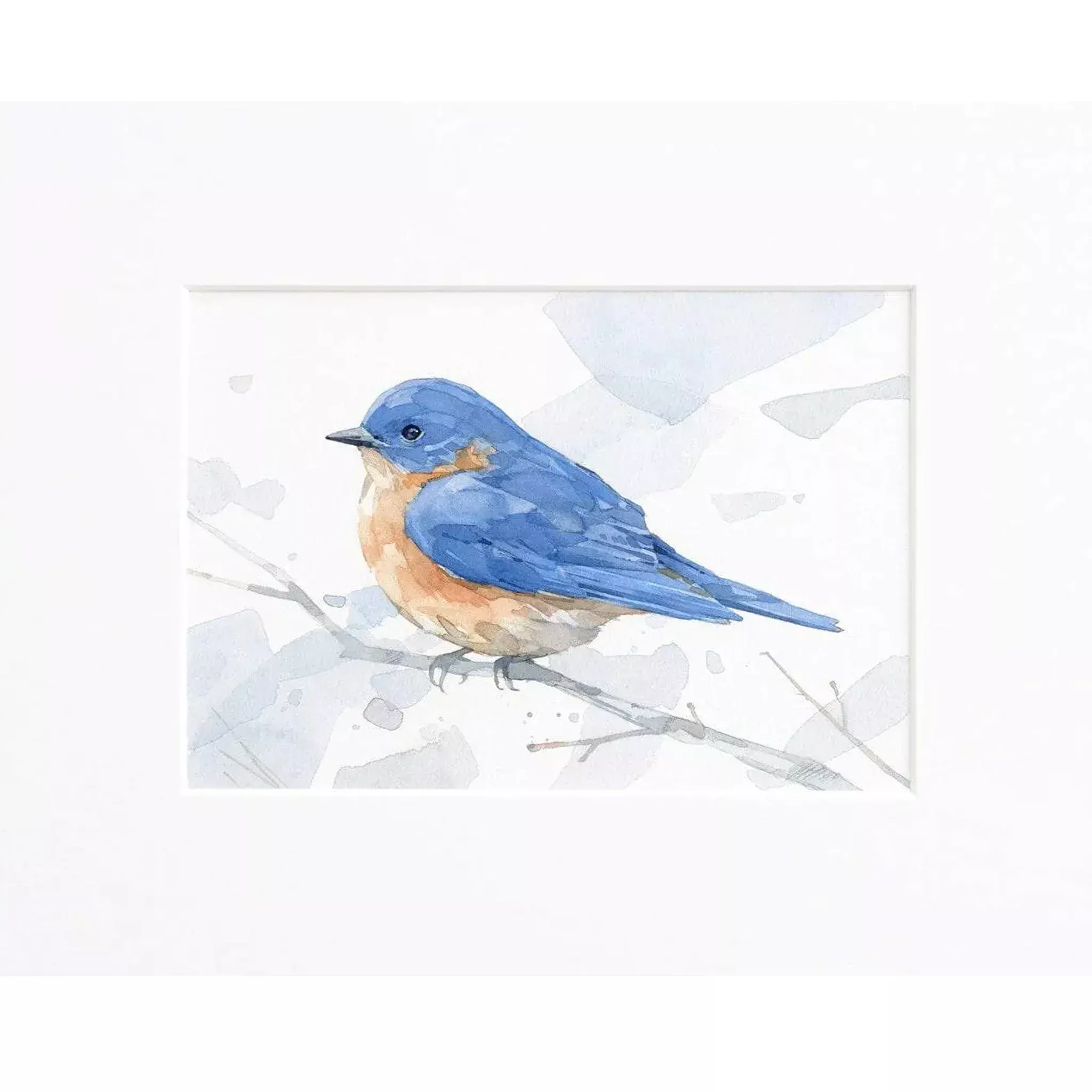 Eastern Bluebird Watercolor Art Print - Matted