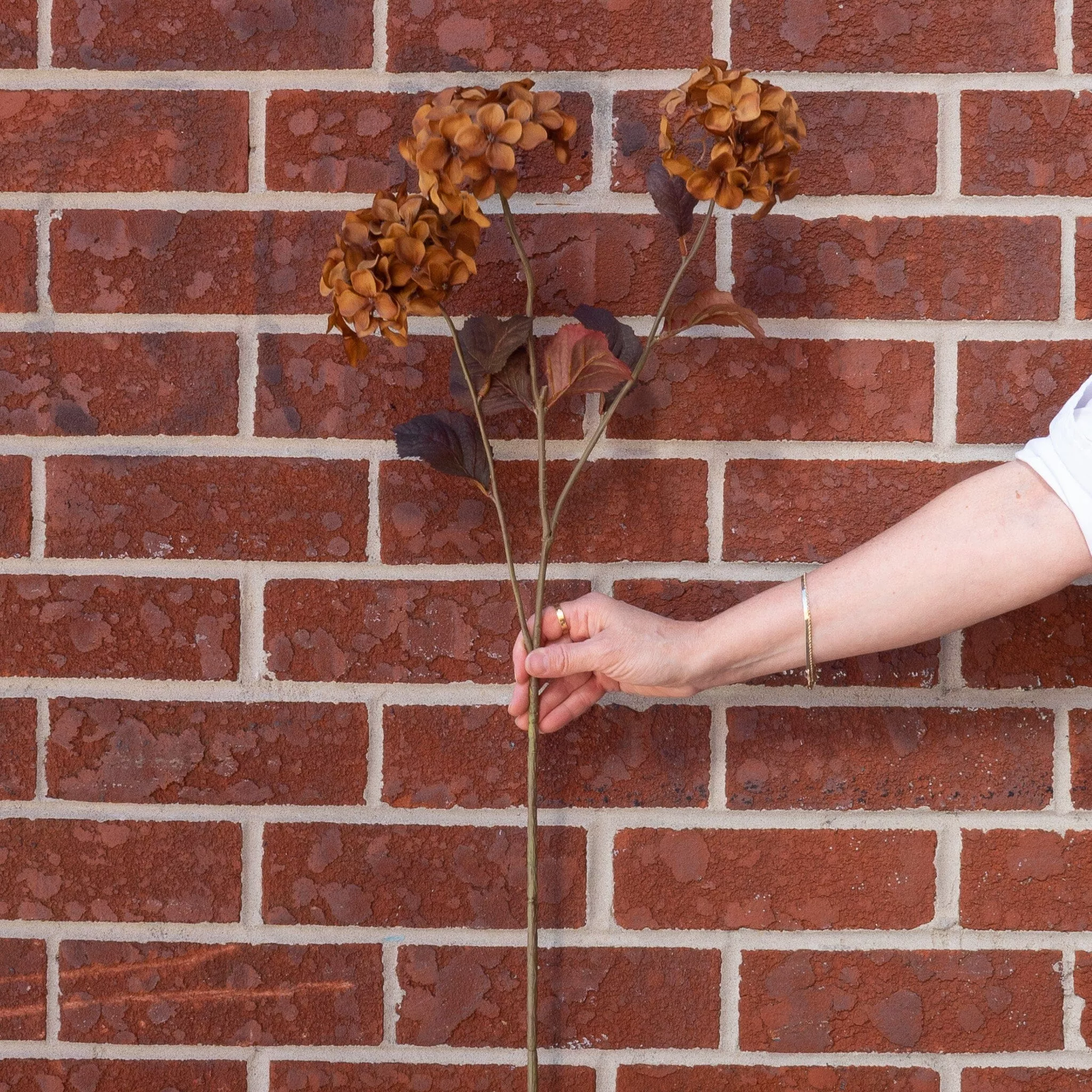 Faux Dried Brown Hydrangea Stem 30"