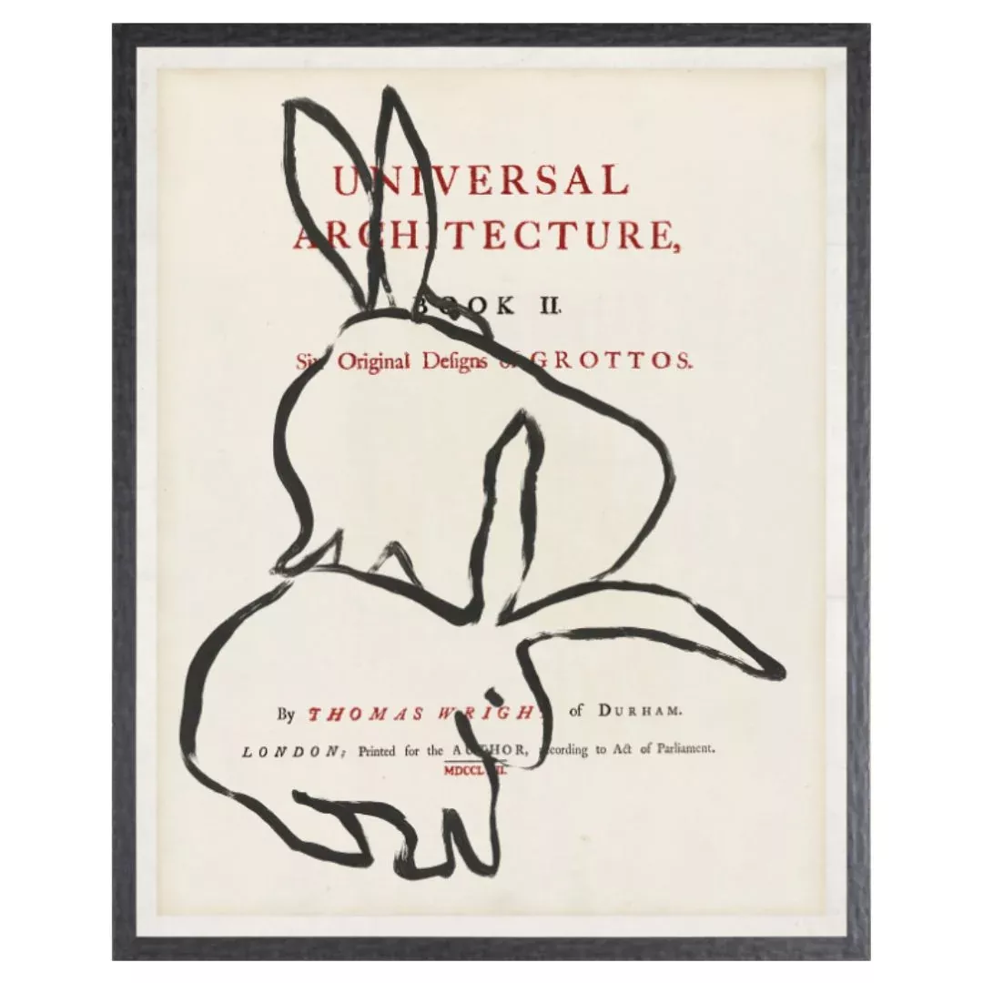Frontispiece- Rabbits, Small