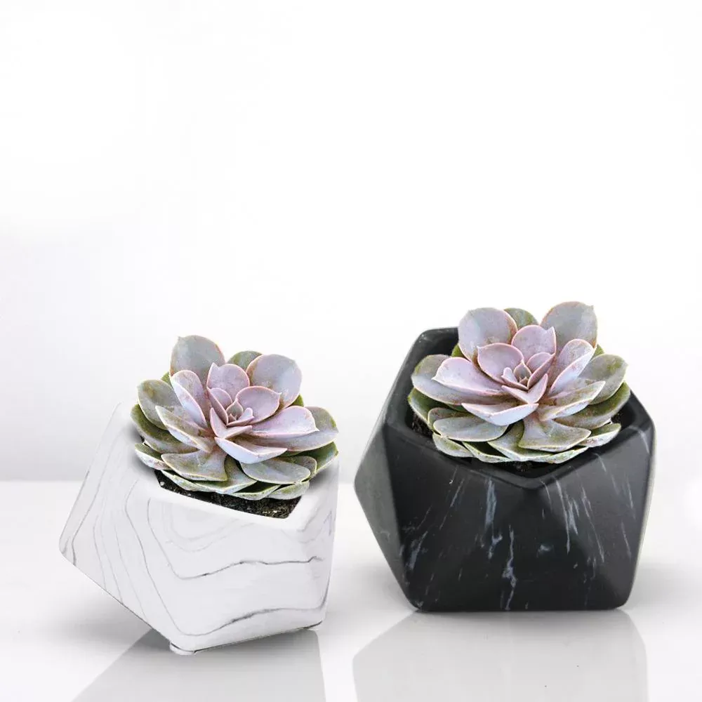 Indoor Ceramic Marble Planter