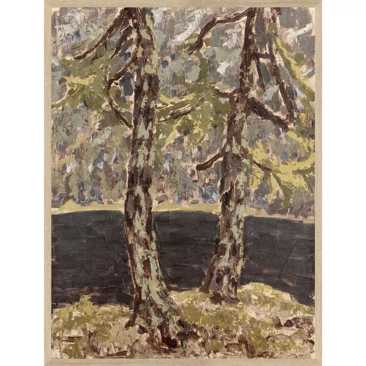 Larch Trees C. 1914