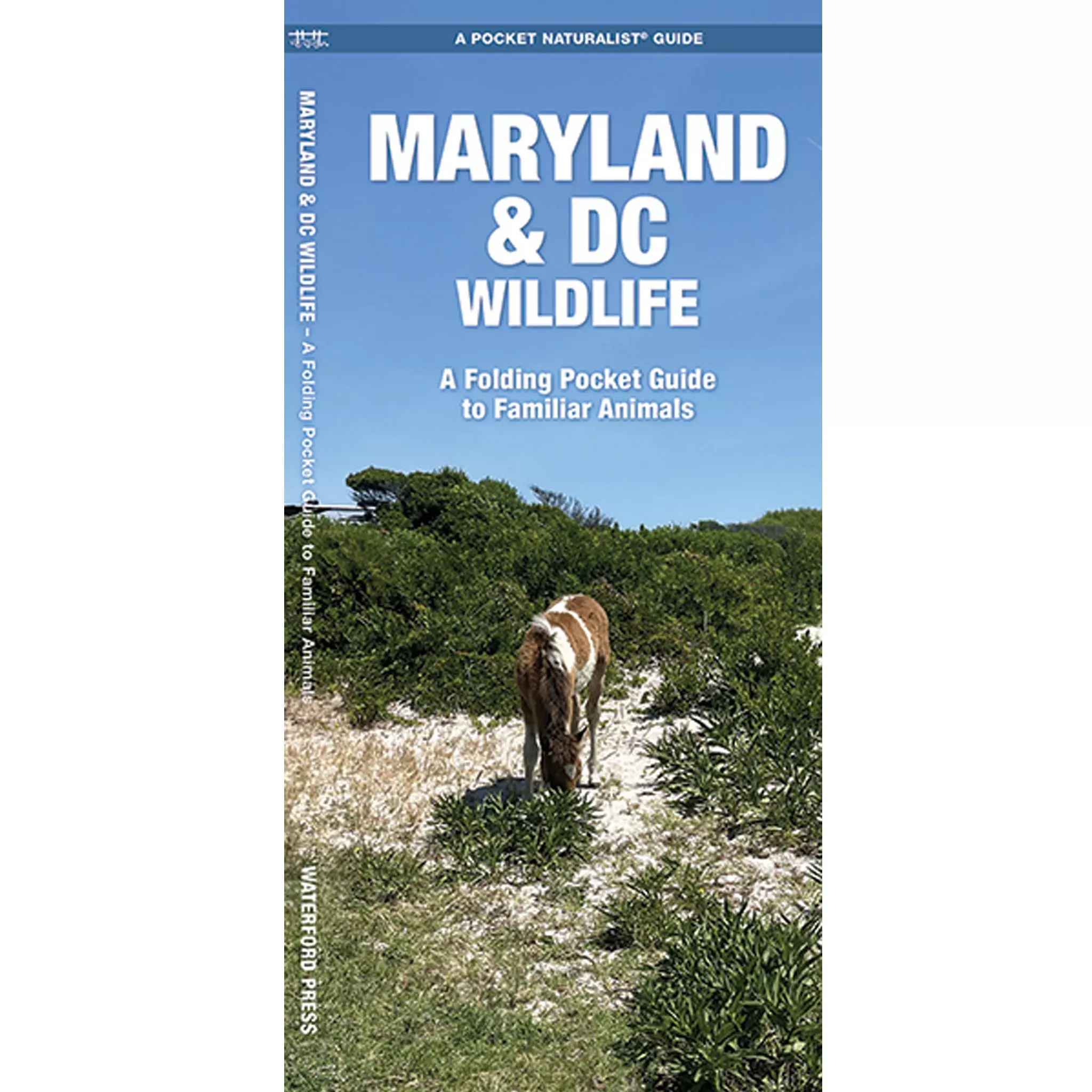 Maryland & DC Wildlife Pocket Naturalist Guide