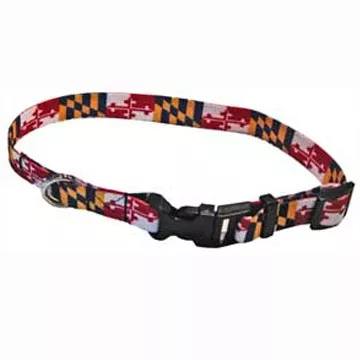 Maryland Flag Dog Collar