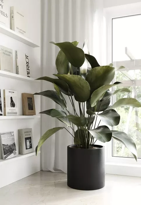 Modrest Hedley Modern Vase