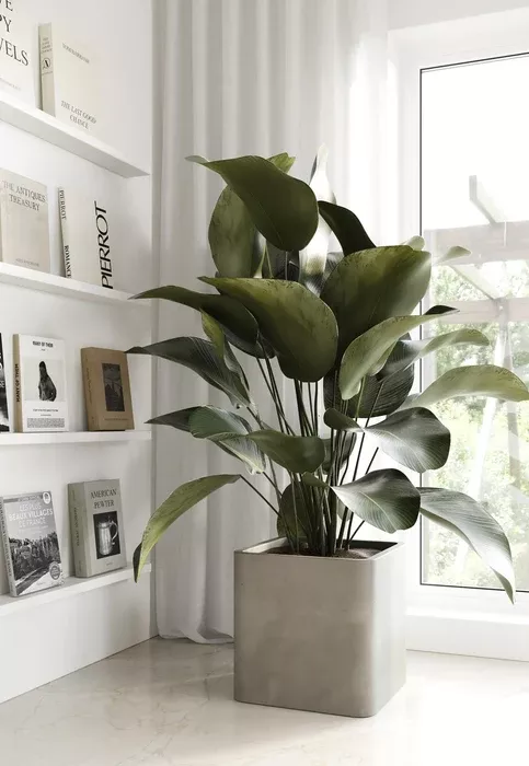 Modrest Kerens Modern Vase