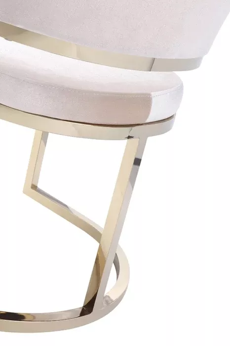 Modrest Tulsa Modern Dining Chair