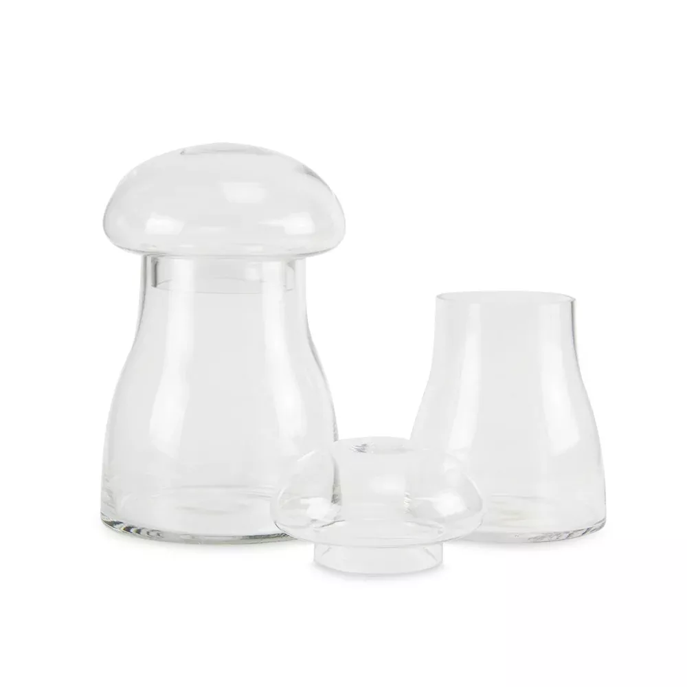 Mushroom Terrarium