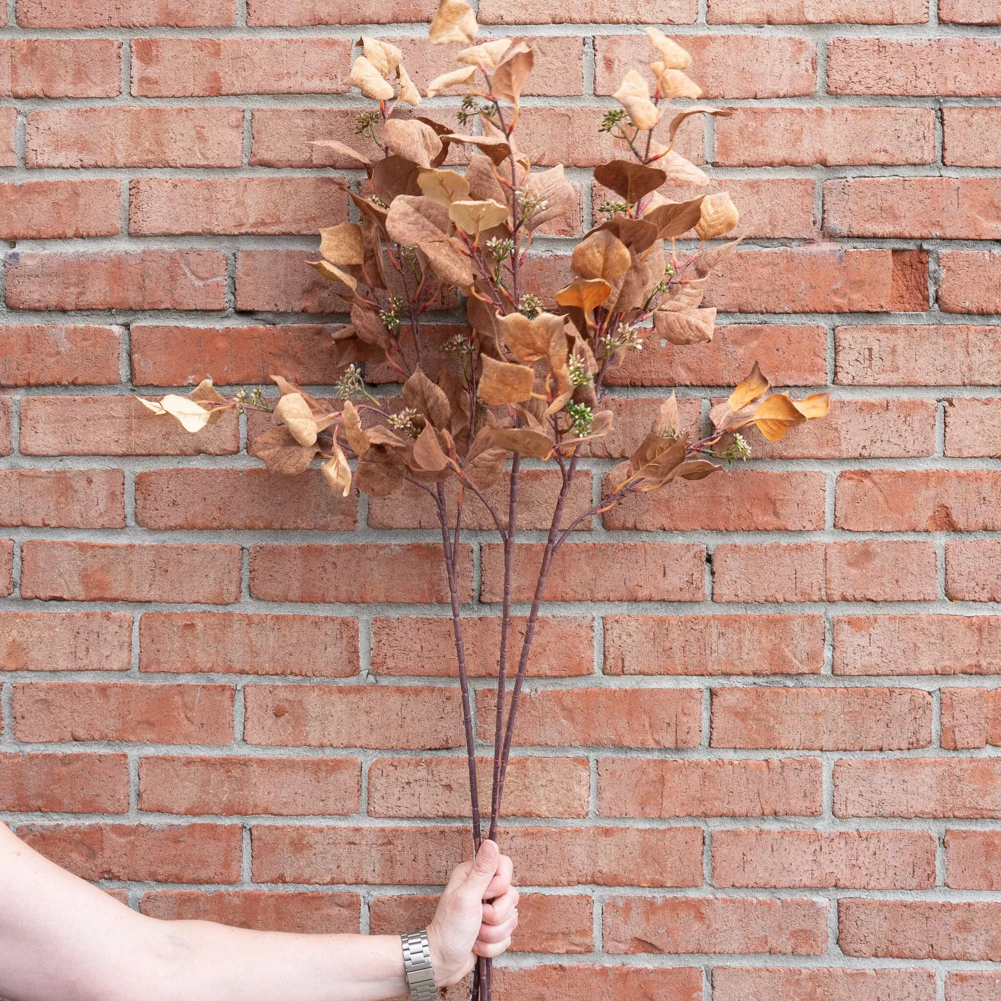 Mustard & Orange Silver Dollar Eucalyptus 38"