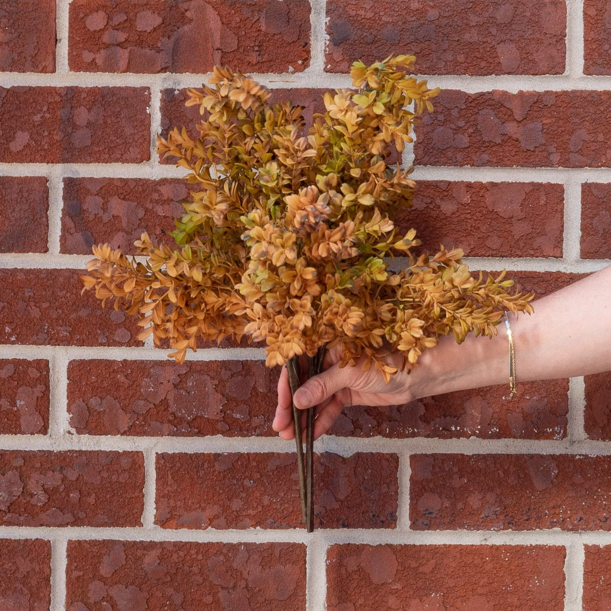 Myrtle Bush 16"