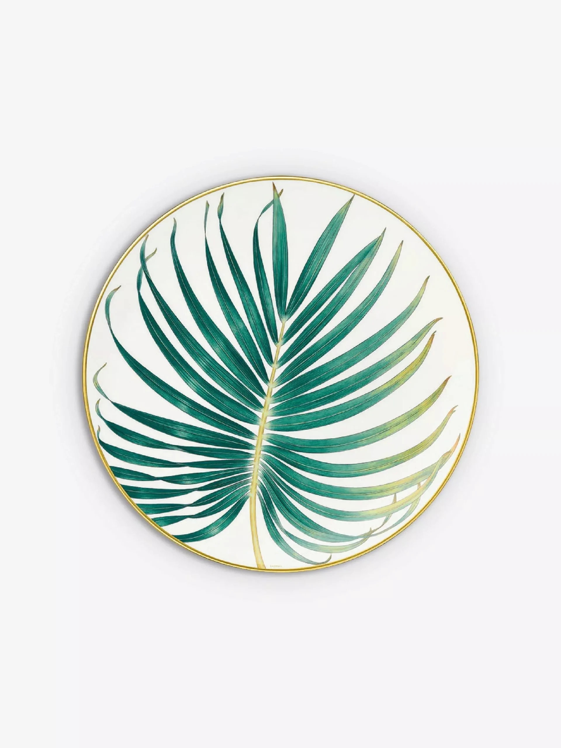 Passifolia Dinner Plate 'Palm'