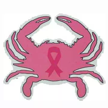 Pink Breast Cancer Awareness Crab Magnet
