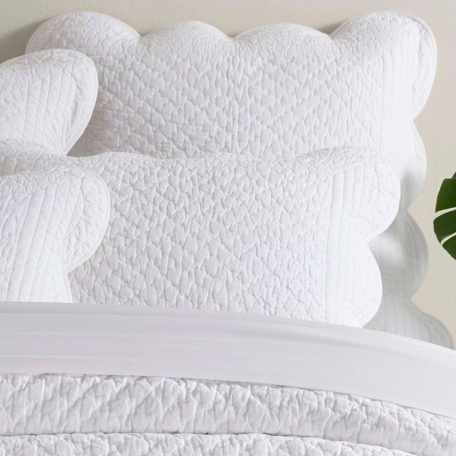 Power Shake Scallop White Quilted Sham