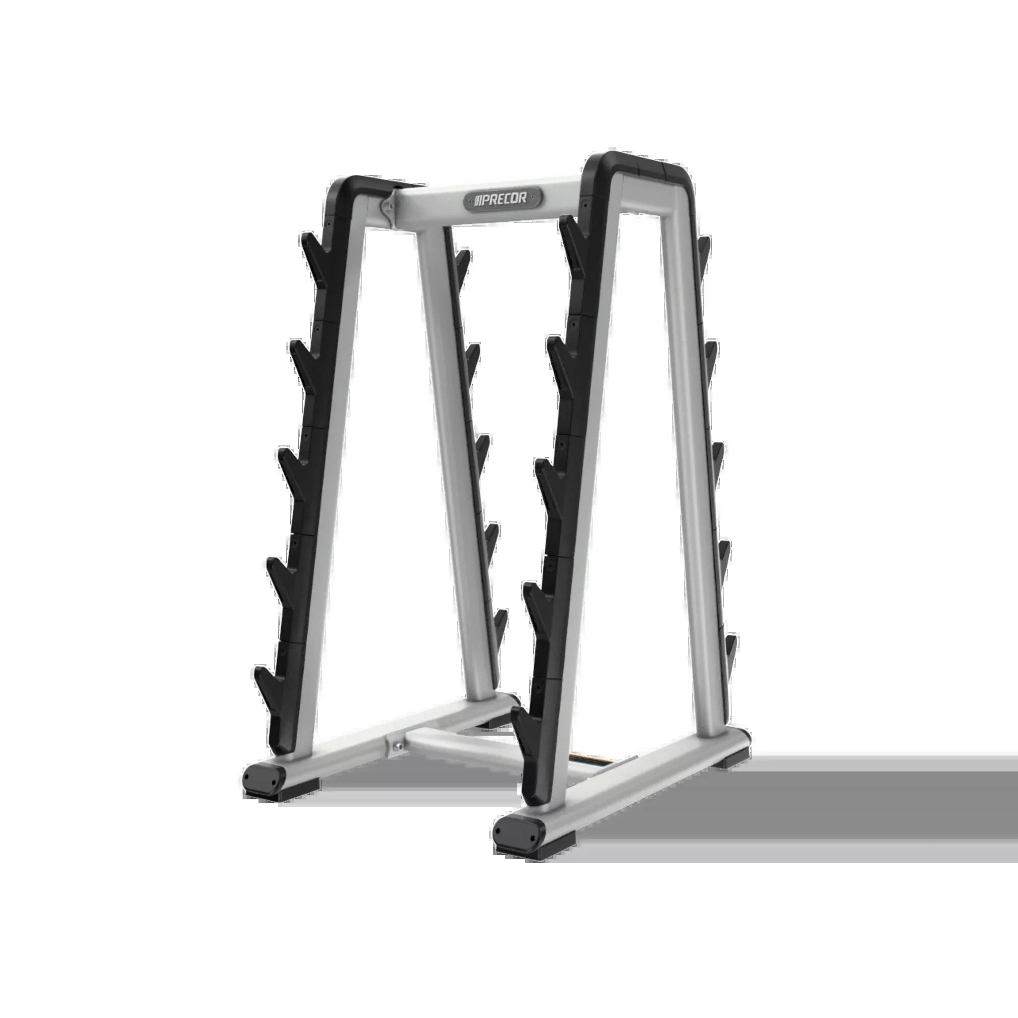 Precor Barbell Rack DBR 808