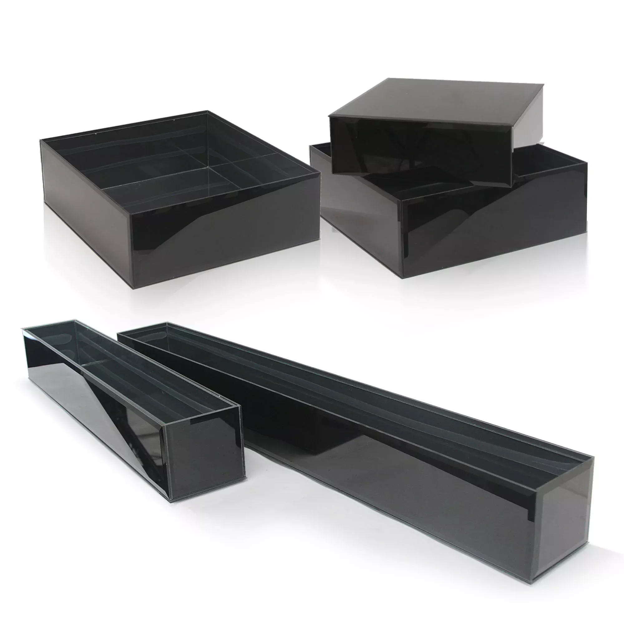 Reversible Black Glass Aquarium