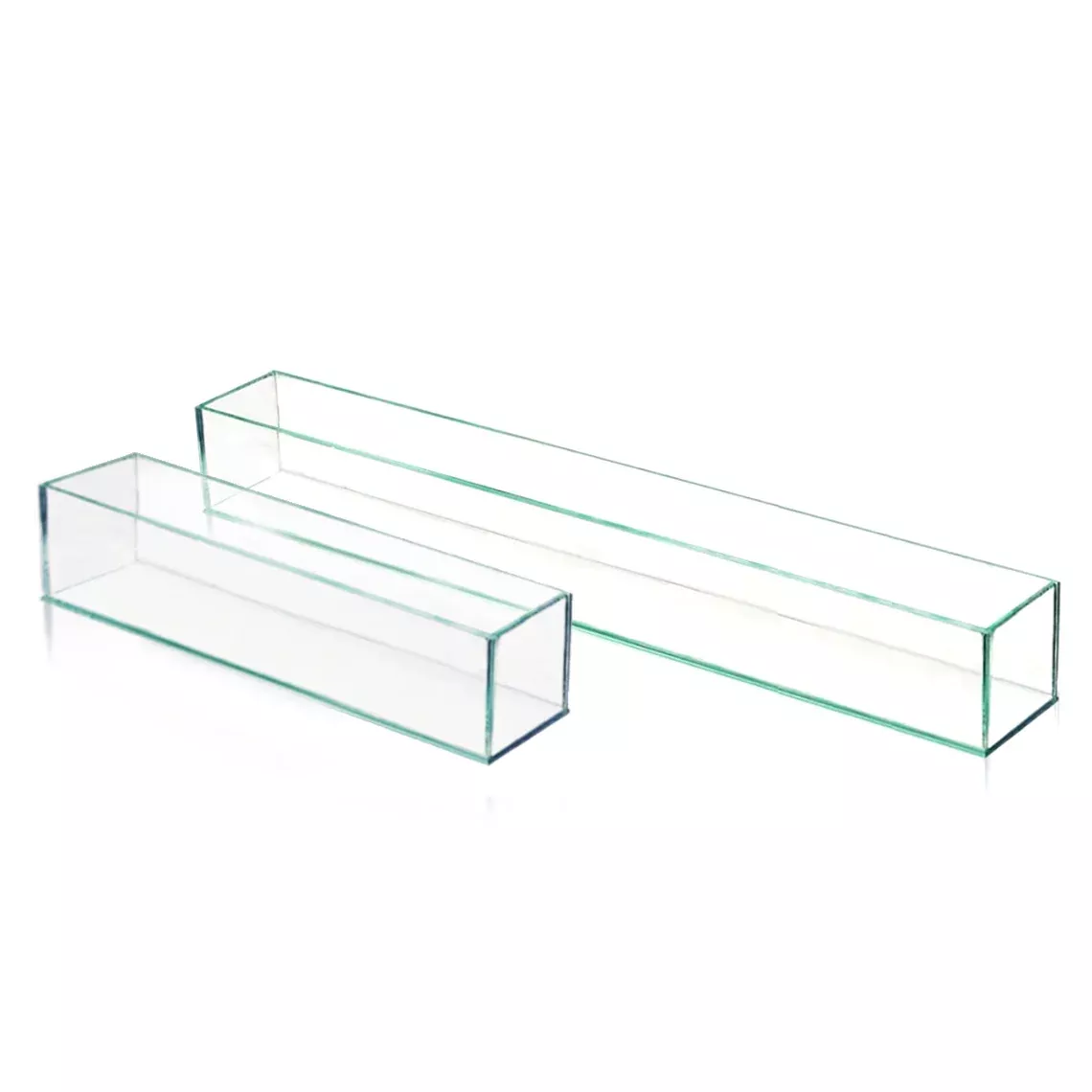 Reversible Glass Floral Aquarium