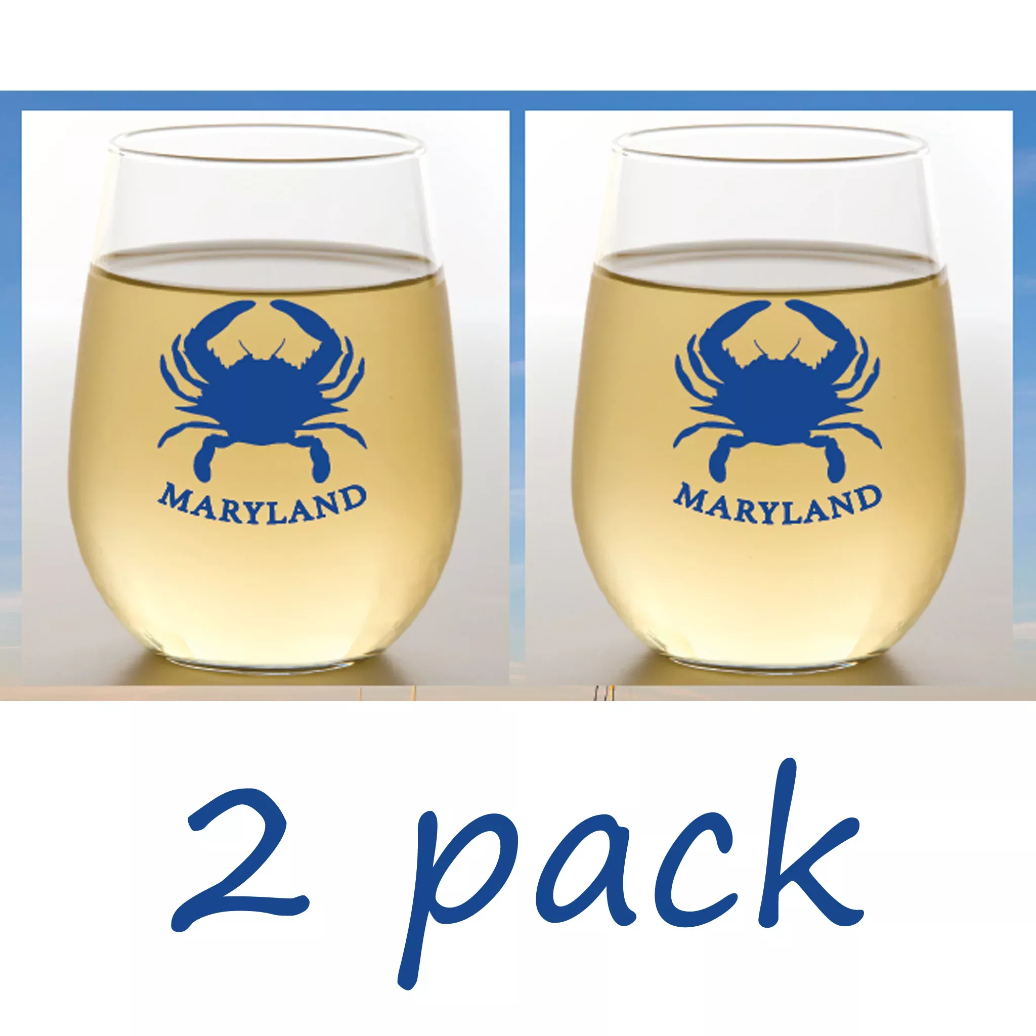 Shatterproof Stemless Wine Set of 2 - Assorted Designs