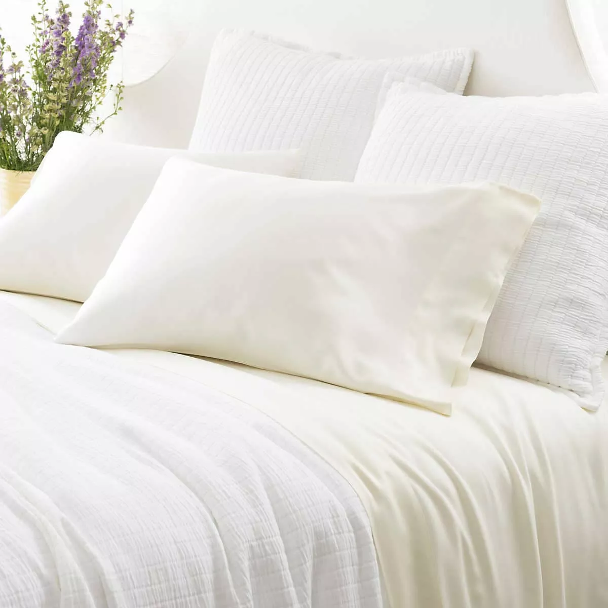 Silken Solid Ivory Sheet Set