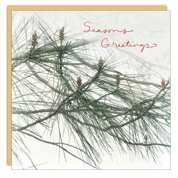 Stationery - Christmas Card - Seasons Greetings