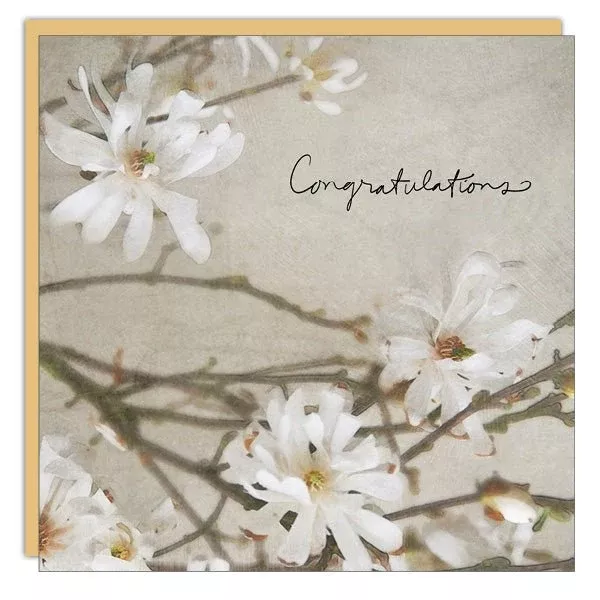 Stationery - Lost & Found Card - Congratulations Blossoms