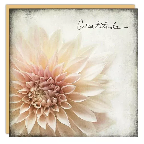 Stationery - Lost & Found Card - Gratitude