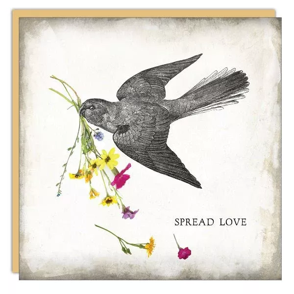 Stationery - Lost & Found Card - Spread Love