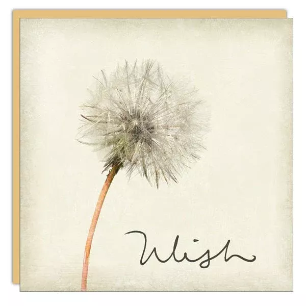 Stationery - Lost & Found Card - Wish