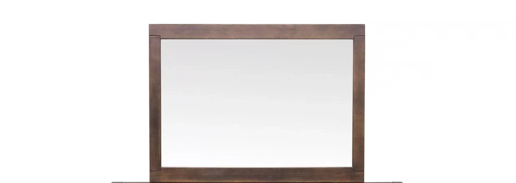 Steve Silver Pasco Mirror in Cocoa