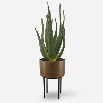 Uttermost - Arabia Aloe Planter - 60217