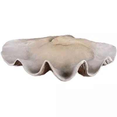 Uttermost - Clam Shell Bowl - 19800
