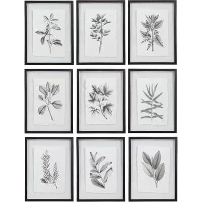 Uttermost - Farmhouse Florals Framed Prints - Set of 9 - 41617
