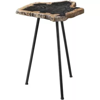 Uttermost - Mircea Petrified Wood Accent Table - 25461